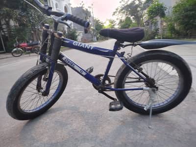 Excellent Condition Cycle