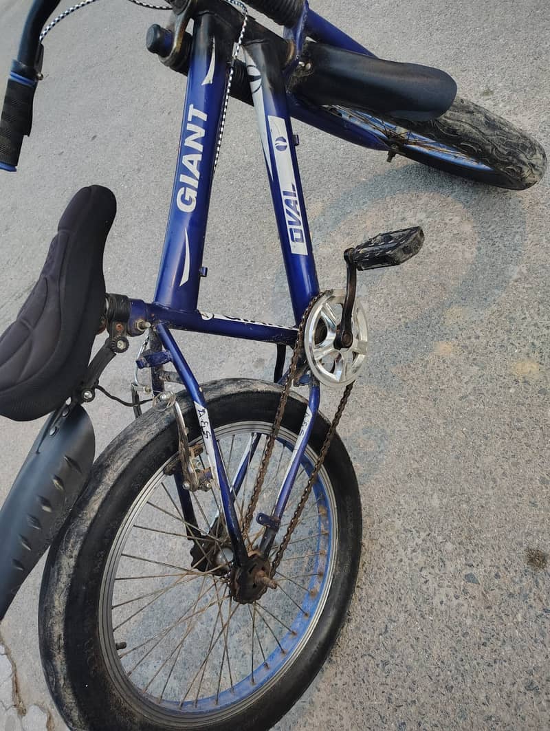 Excellent Condition Cycle 1