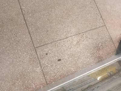 Shop for sharing in I 10 Markaz Islamabad