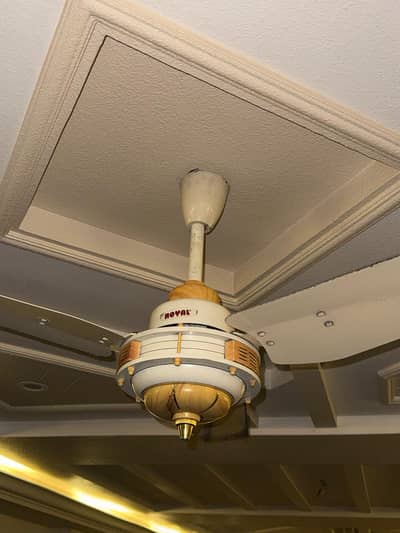 ceiling fan for sell