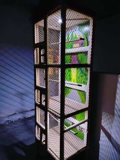 birds cage
