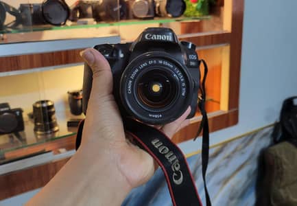 dslr Canon 80d (Professional) Canon 18-55mm stm