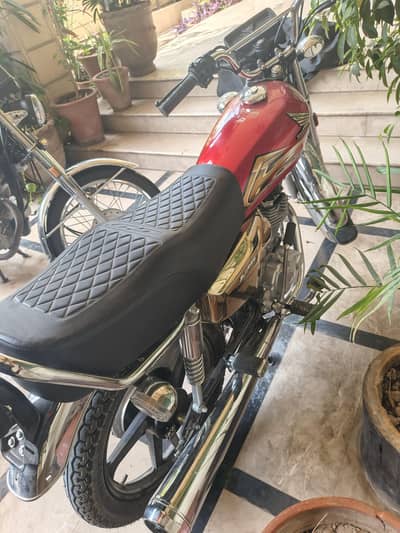 Honda 125 2026 Golden edition