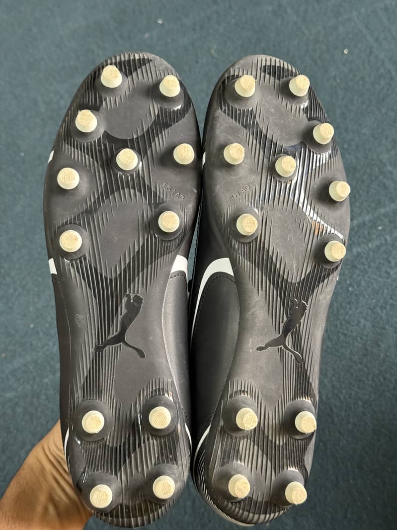 Originally Puma Studs 1