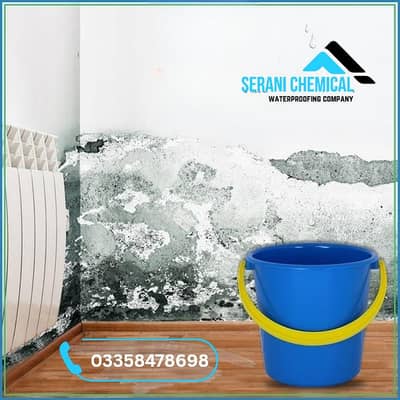 Walls Leakage Seepage Solutions | Roof Water Proofing Treatment