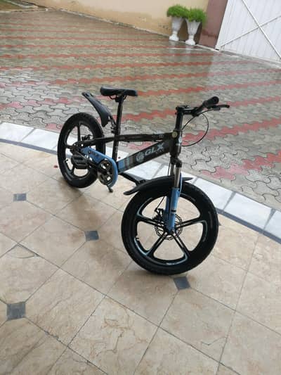 GLX bike 22 size
