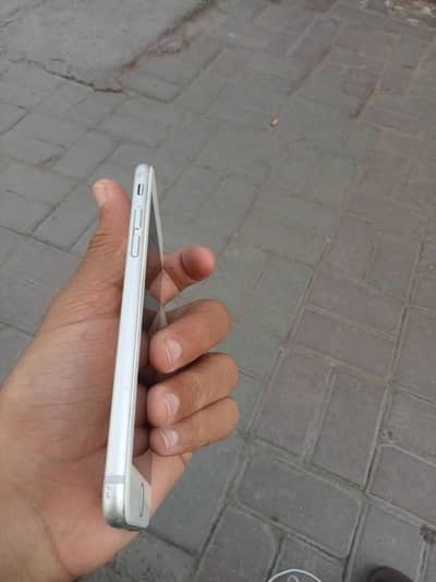 iphone 6 ha all okay