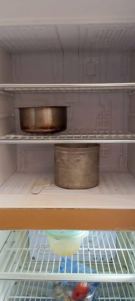 orient refrigerator 6