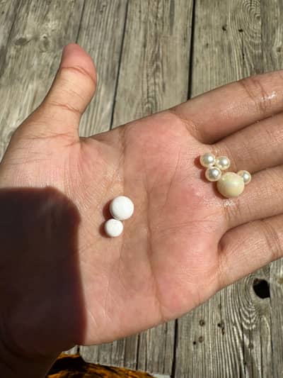 Original Natural Sea Pearls (Certified) – Real Moti for Jewelry