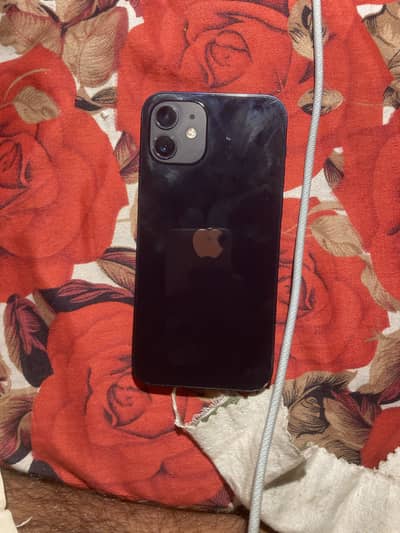 iPhone 12 or iPhone se 2020