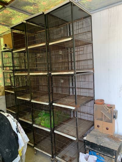 Birds Cages for sale 1.5x1.5ft front 2ft depth 5 portion Birds Cages for sale 1.5x1.5ft front 2ft depth 5 portion
