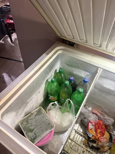 Freezer one door newly condition