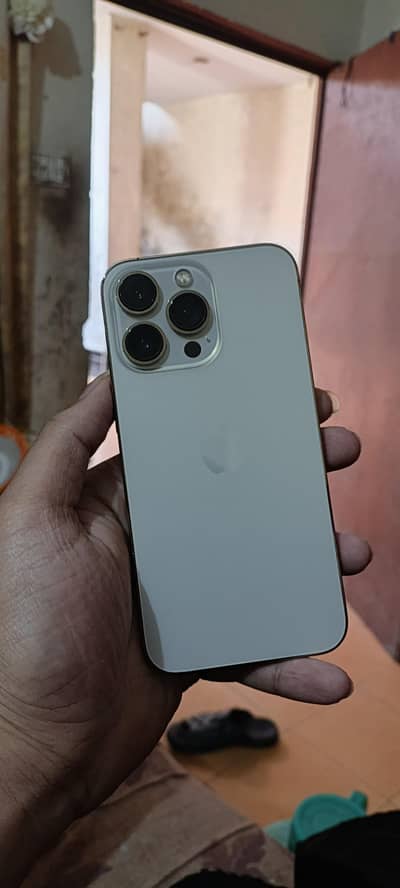 13 Pro LLA, E + Physical sim