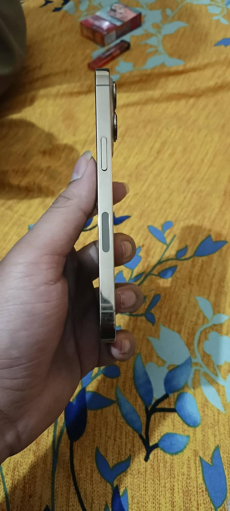 13 Pro LLA, E + Physical sim 1