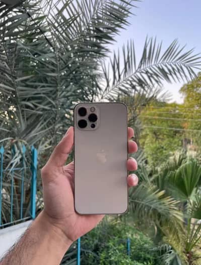 iphone 12 pro 128 official pta approved