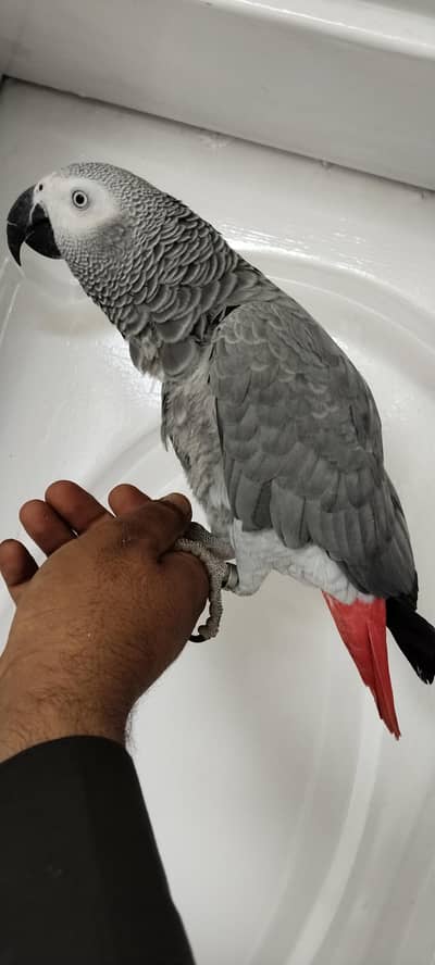 SUPER TAME AND TALKATIVE FEMALE WITH FRESH DNA