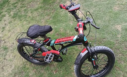 Odessy Safari 16" Bicycle (imported)