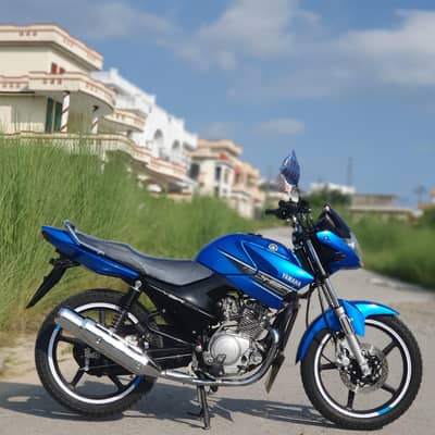 YAMAHA YBR 125 (2016)