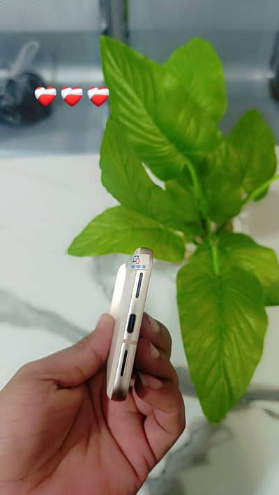 google pixel 8 pta official