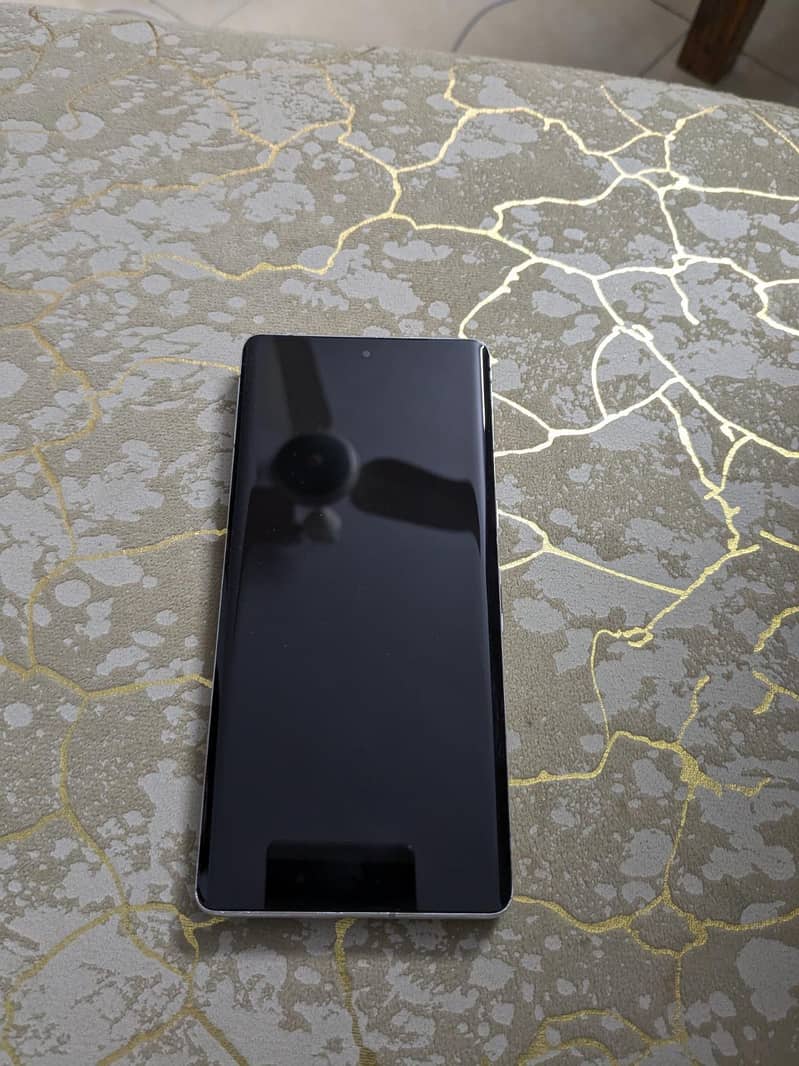 Google Pixel 7 Pro 1