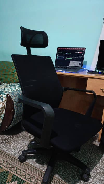 Executive Office Chair