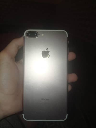 WhatsApp 03416492284