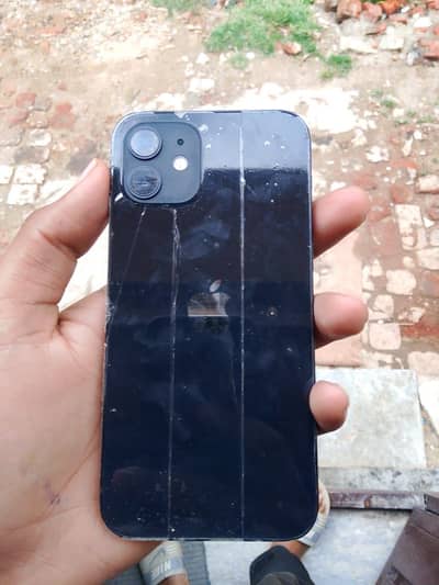iPhone 12 128Gb u