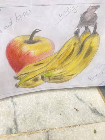 Drawing of apple and banana