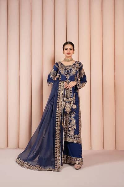 heavy embroidered dresses