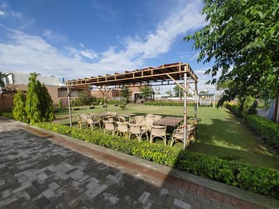 We need a professional waiters for our restaurant