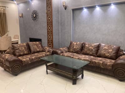 Leather sofas with cushions and table