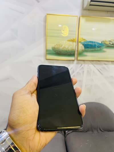 11 pro max (factory)