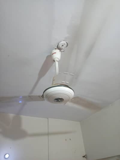 Royal Ceiling Copper Fan - Used | 10/10 Condition | Best Price Karachi