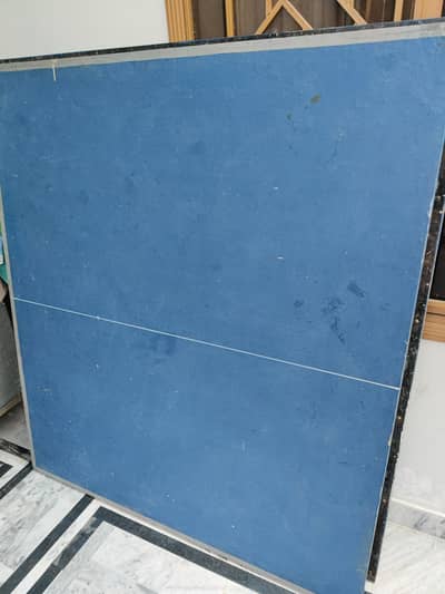 Table Tennis Table