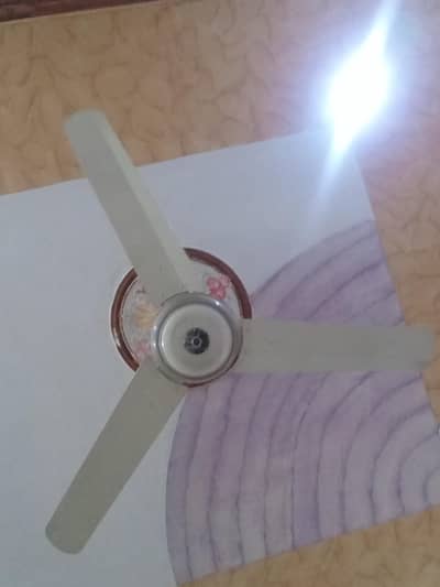 A pak ceiling water proof fan for sale