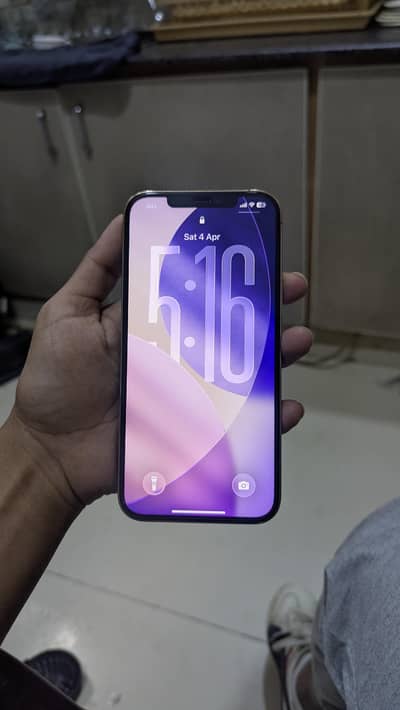 12 Pro Max duel official Pta