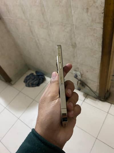 iPhone 14 Pro