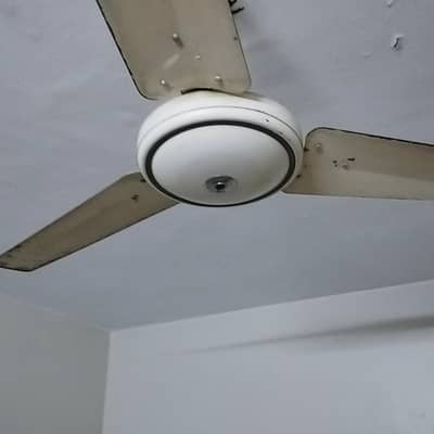 Ceiling Fan