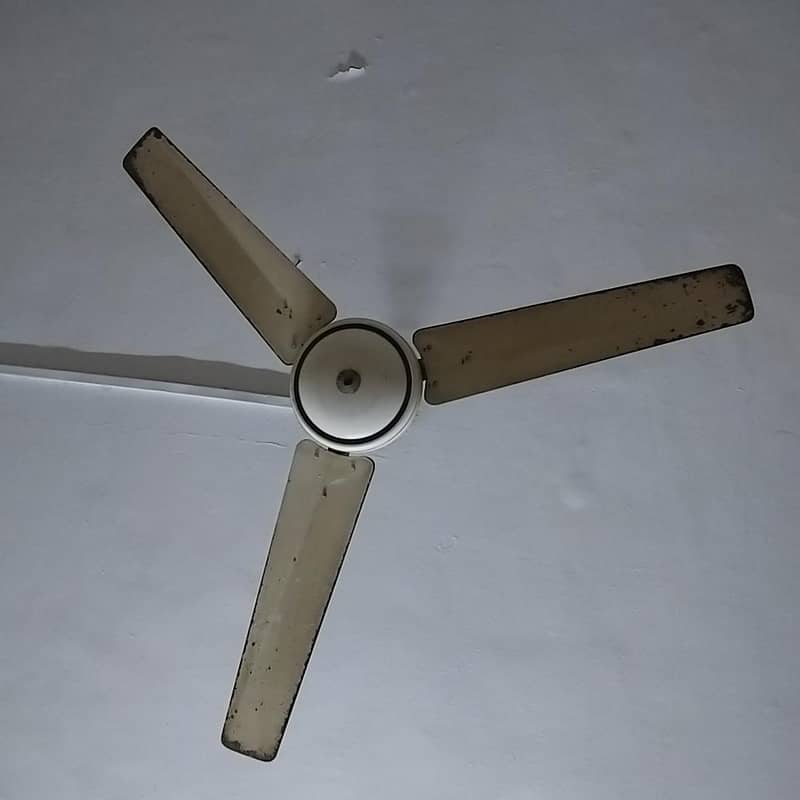 Ceiling Fan 1