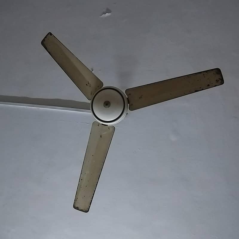 Ceiling Fan 2