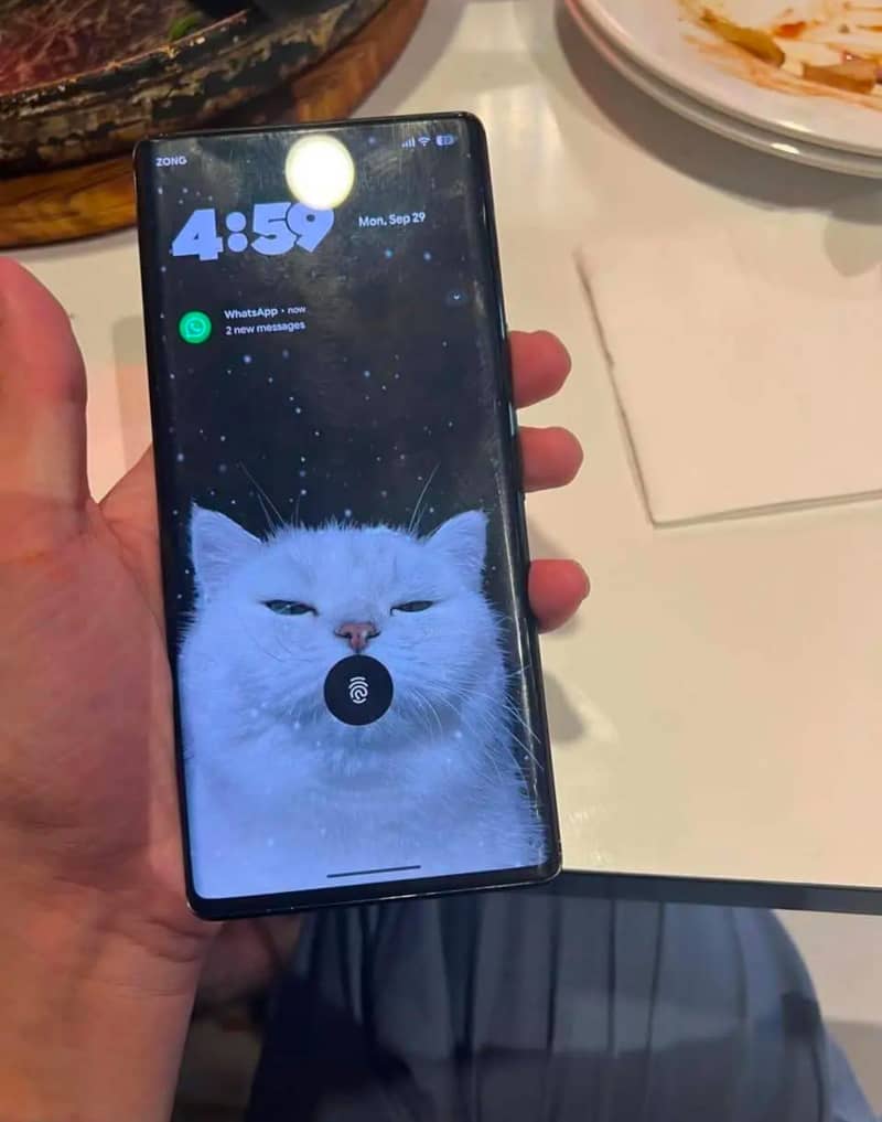 Google pixel 6 pro 2