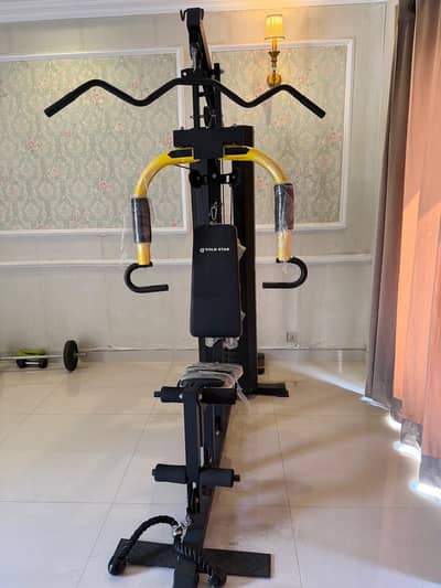 Multi-Gym Equipment for different arm, chest and back workouts