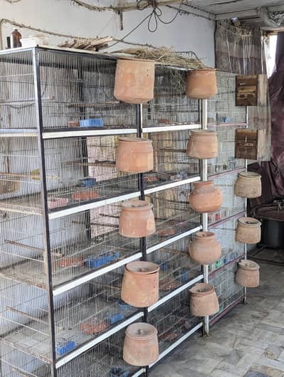 5 Portions Heavy Cages