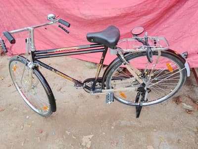 Persian cat triple cod for sale,my WhatsApp 03464644037