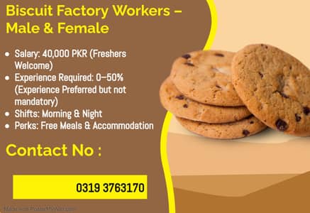 Busicuit packing job urgent staff require male female Urgent hiring