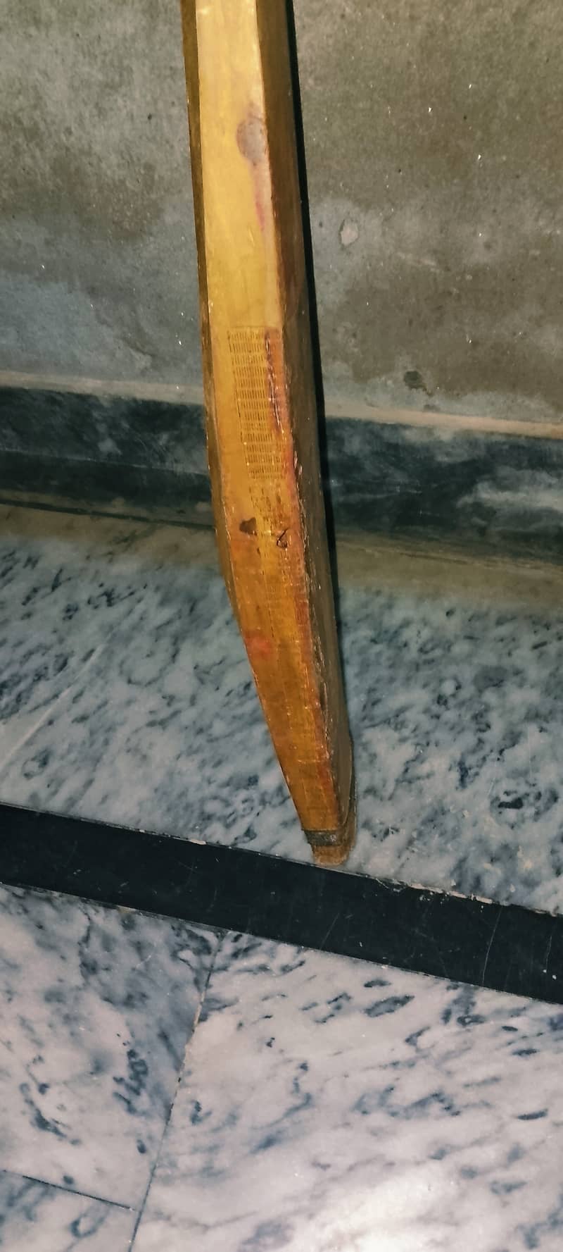 Cricket test Bat 2
