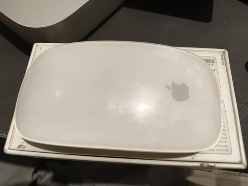 Magic Mouse 2 0
