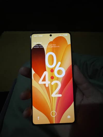 Redmi note 13 pro box chrger