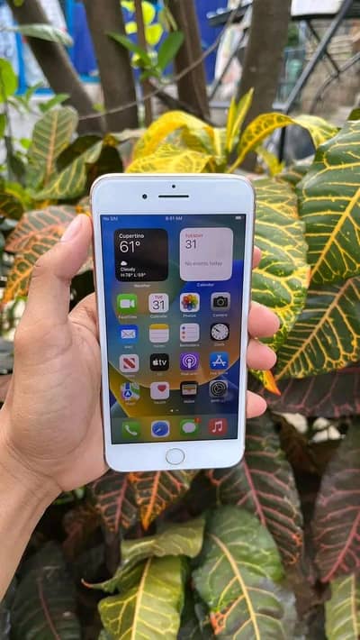 Iphone 8plus pta approved 256GB My Whatsapp 0329-70-46-121