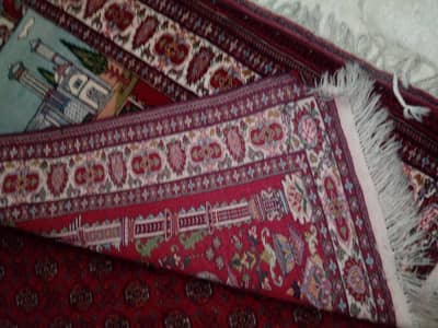 Whatsapp 03125484497